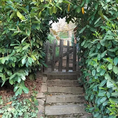 Casa vacanze Vut El Pajariel *