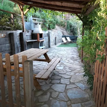 Vut El Pajariel Hotel