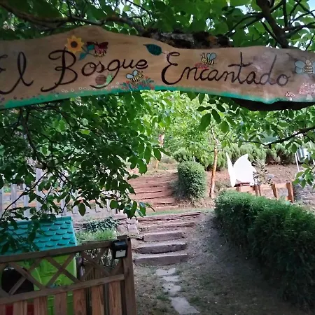 Vut El Pajariel