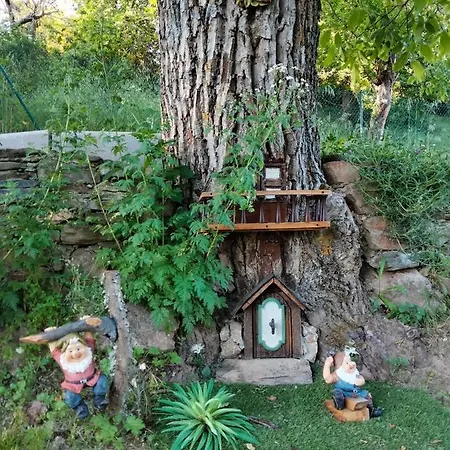 Vut El Pajariel Ponferrada