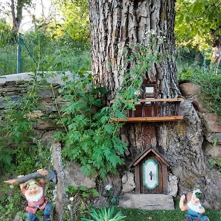 Hotel Vut El Pajariel *