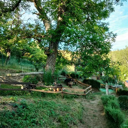 Vut El Pajariel Hotel