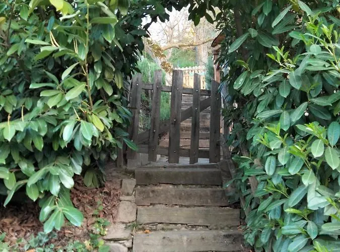 ホテル Vut El Pajariel *