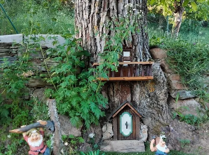 Vut El Pajariel ポンフェラダ