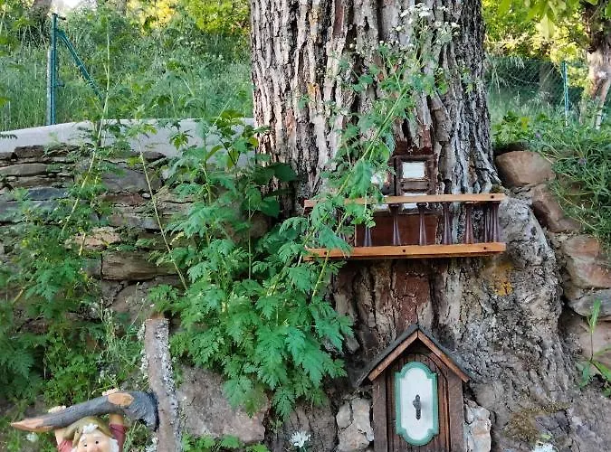 ホテル Vut El Pajariel *