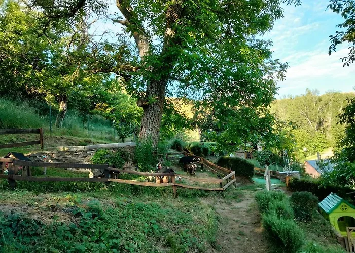 Vut El Pajariel ホテル